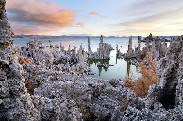 Water's Edge Art Print featuring the photograph Big Cloud Above Tufas On Mono Lake by Rezus
