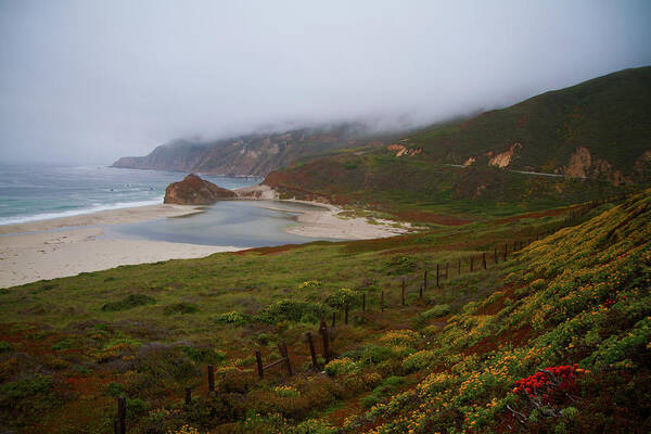 Landscape Art Print featuring the photograph Big Sur by Tom Kelly