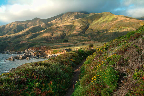 Landscape Art Print featuring the photograph Big Sur Trail at Soberanes Point by Charlene Mitchell