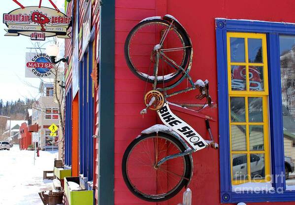 Bike Art Print featuring the photograph Bike Shop by Fiona Kennard