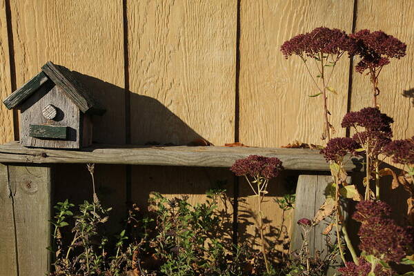 Bird House Art Print featuring the photograph Bird House on Bench by Valerie Collins