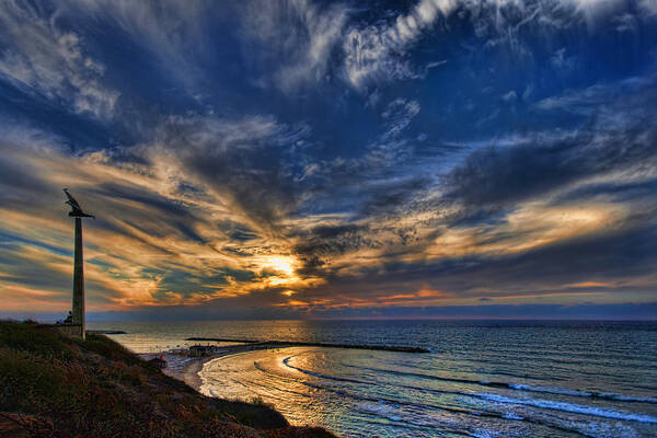 Hilton Art Print featuring the photograph Birdy Bird at Hilton Beach by Ron Shoshani