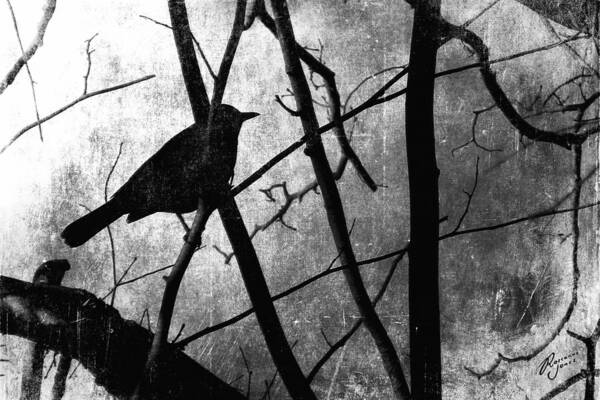 Textured Photograph Art Print featuring the photograph Black Bird by Roseanne Jones