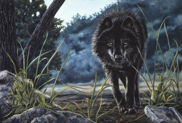 Wolf Art Print featuring the painting Black Wolf Hunting by Lucie Bilodeau