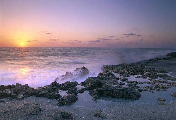 Feb0514 Art Print featuring the photograph Blowing Rocks Preserve At Sunset by Tim Fitzharris