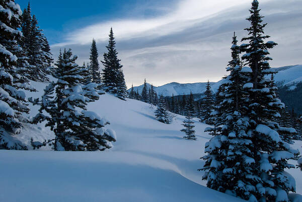 Colorado Art Print featuring the photograph Blue and White Winter by Cascade Colors