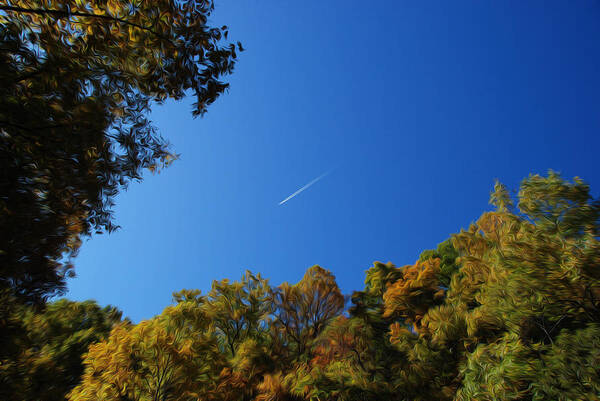 Autumn Art Print featuring the photograph Blue Autumn Skies by Kelvin Booker