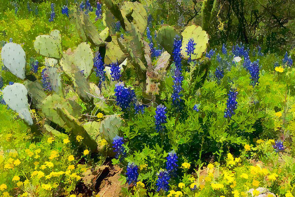 Blue Bonnets Art Print featuring the photograph Blue Bonnets and Cactus by Dean Ginther