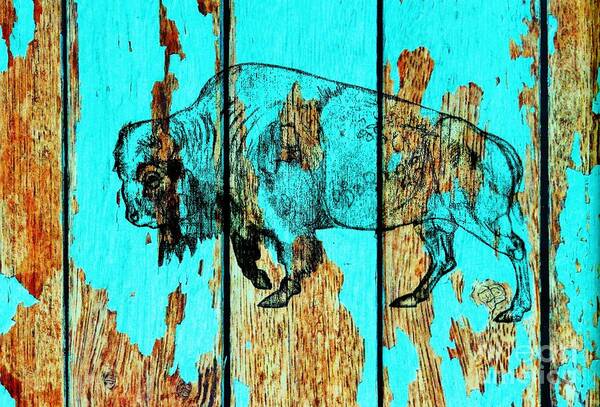 Buffalo Art Print featuring the drawing Blue Buffalo 3 by Larry Campbell