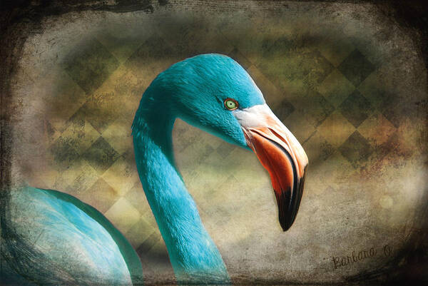 Flamingo Art Print featuring the photograph Blue Flamingo by Barbara Orenya
