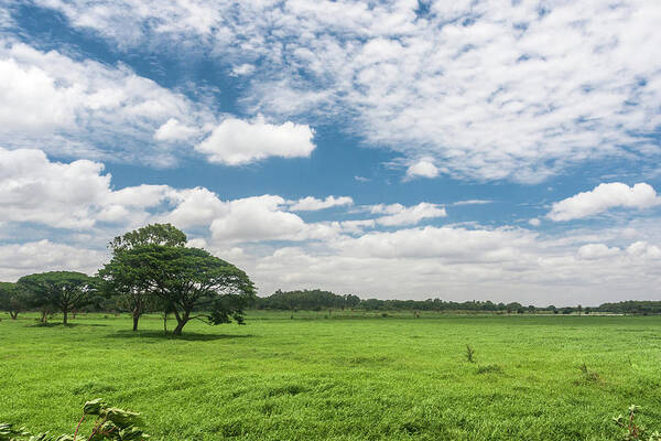 Scenics Art Print featuring the photograph Blue Green Paradise by Arvind Manjunath Photography