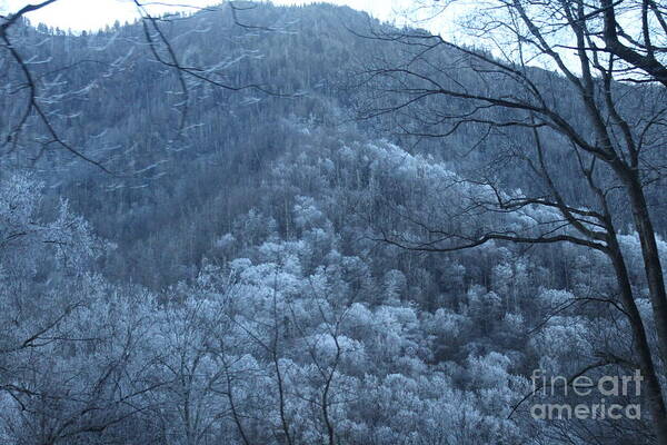 Blue Mountain Art Print featuring the photograph Blue Mountain by Jeanne Forsythe