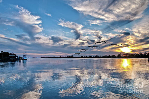Blue Sky Art Print featuring the photograph Blue Sky Sunset by Mike Covington