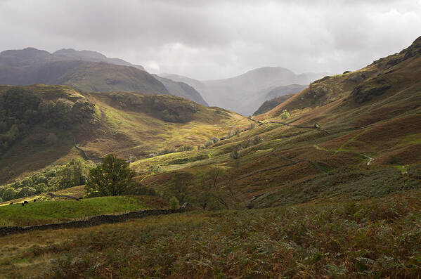 Borrowdale Art Print featuring the photograph Borrowdale towards Great Gable by Pete Hemington