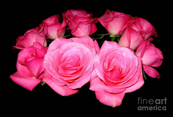 Pink Roses Art Print featuring the photograph Bouquet of Pink Roses by Rose Santuci-Sofranko