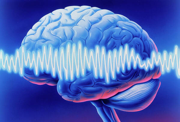 Brainwave Art Print featuring the photograph Brainwaves by John Bavosi