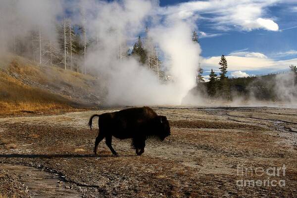 Vent Geyser Art Print featuring the photograph Breaking The Rules by Adam Jewell