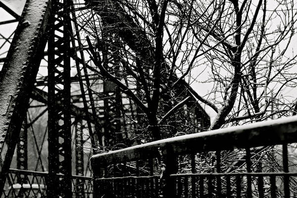 Bridge Snow Street Trees Blank And White Art Print featuring the photograph Bridge at snowfall by Denise Cicchella