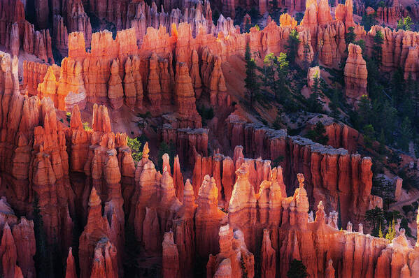 Bryce Art Print featuring the photograph Bryce Canyon At Sunset by ??? / Austin