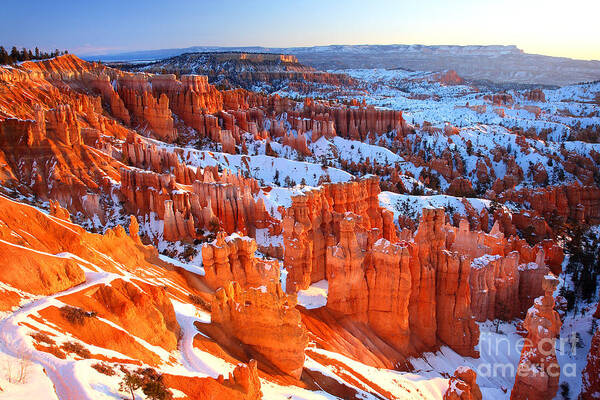 Bryce Art Print featuring the photograph Bryce Canyon Winter by Bill Singleton