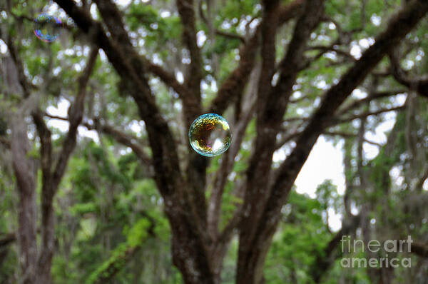 Bubble Art Print featuring the photograph Bubble by Joanne McCurry