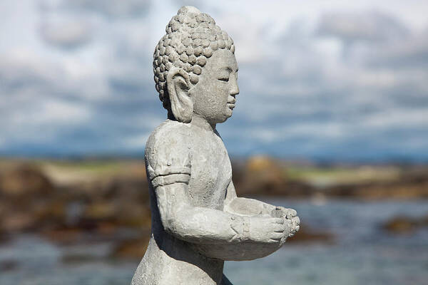 Statue Art Print featuring the photograph Buddha Figurine In The Nature by Firmafotografen