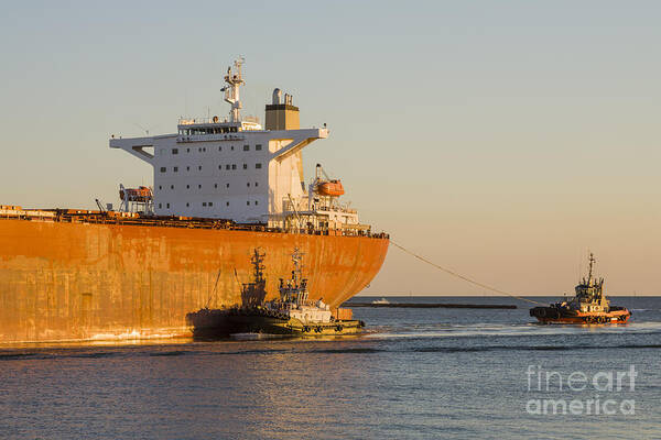 Bulk Carrier Being Guided by Tugs Close Up on Bridge Canvas Print / Canvas  Art by Colin and Linda McKie - Fine Art America