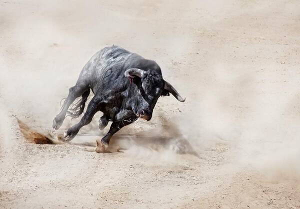 Horned Art Print featuring the photograph Bull charging across sand creating dust cloud by Juanluis_duran
