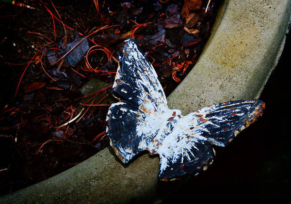 Butterfly Art Print featuring the digital art Butterfly by Kara Stewart