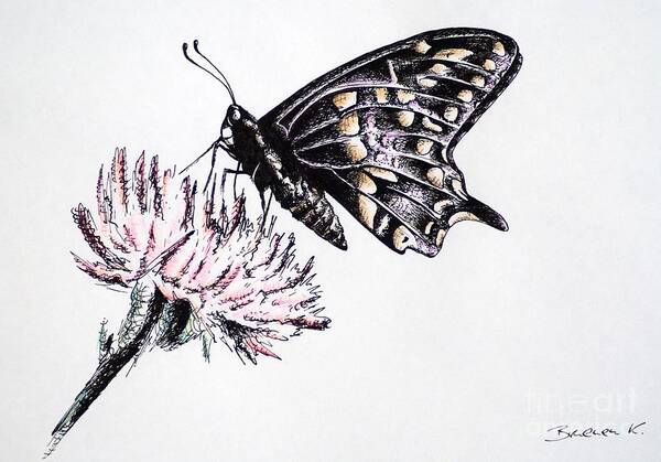 Butterfly Art Print featuring the drawing Butterfly by Katharina Bruenen