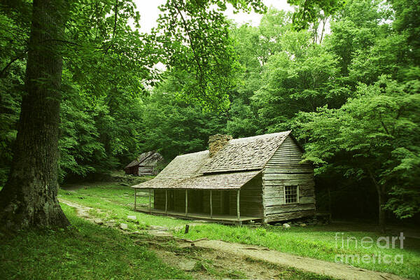 Tennessee Art Print featuring the photograph Cabin in the Smokey Mtns by Teri Atkins Brown