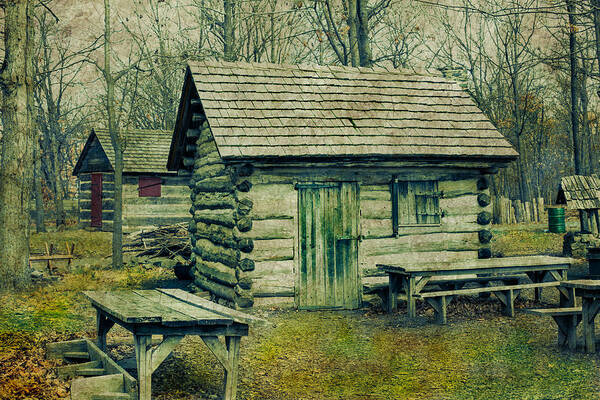 Wood Art Print featuring the photograph Cabins in the Woods by Elvira Pinkhas