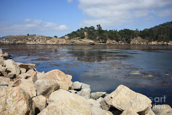 California Art Print featuring the photograph California Cove by Carol Groenen