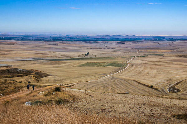 Camino De Santiago Art Print featuring the photograph Camino de Santiago by Adam Mateo Fierro