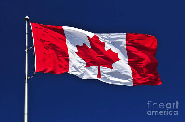 Flag Art Print featuring the photograph Canadian flag by Elena Elisseeva