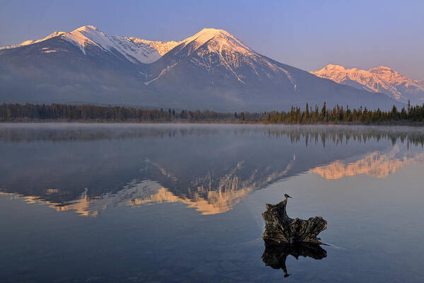 Alberta Art Print featuring the photograph Canadian Rocky Mountain Spring Landscape by Don Johnston