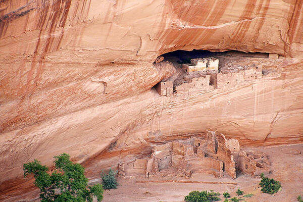 White Art Print featuring the photograph Canyon de Chelly White House Ruins by Alexandra Till