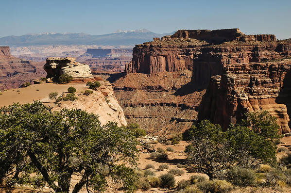 Photography Art Print featuring the photograph Canyonlands by Lee Kirchhevel