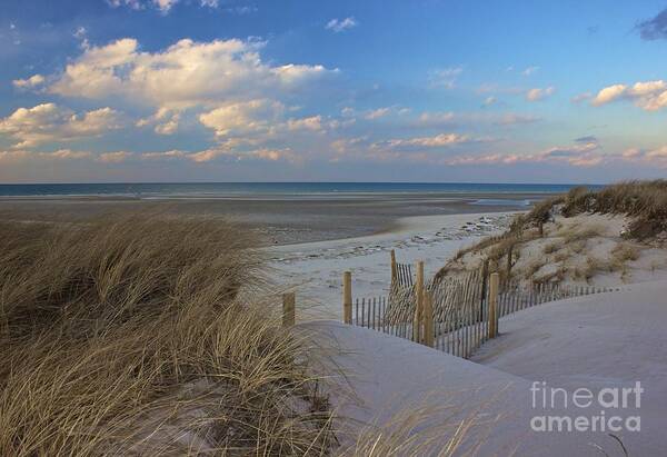 Cape Cod Art Print featuring the photograph Cape Cod by Amazing Jules