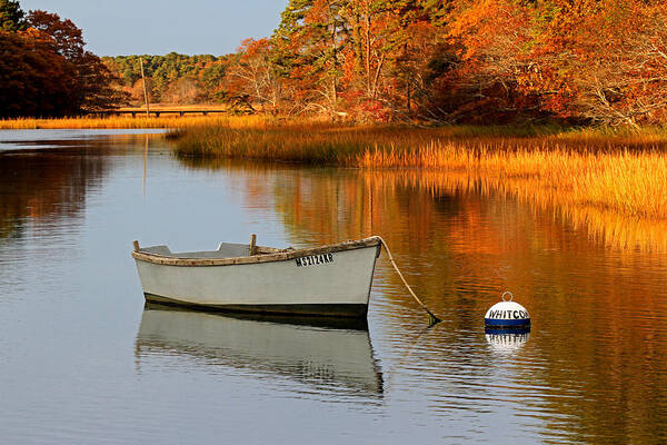Cape Cod Art Print featuring the photograph Cape Cod Fall Foliage by Juergen Roth
