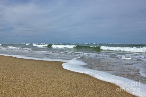 Cape Cod Art Print featuring the photograph Cape Cod Provincelands by Amazing Jules