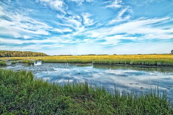 Marsh Art Print featuring the photograph Cape Cod Salt Marsh At Low Tide by Constantine Gregory