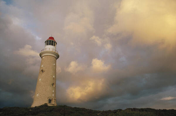 Feb0514 Art Print featuring the photograph Cape Du Couedic Lighthouse Kangaroo by Gerry Ellis