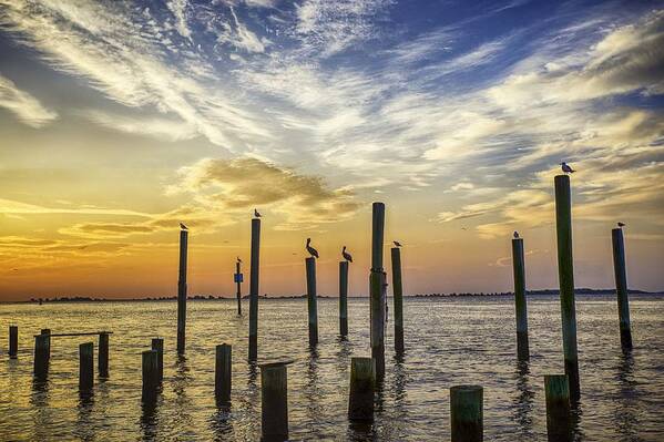 Southport Art Print featuring the photograph Cape Fear Sunrise by Nick Noble