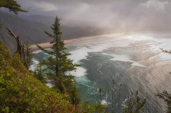 Oregon Art Print featuring the photograph Cape Lookout Vista by Mary Angelini