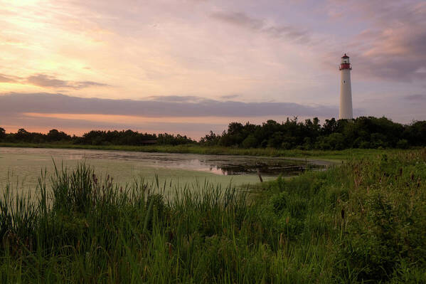 Cape May Lighthouse Art Print featuring the photograph Cape May Lighthouse II by Tom Singleton