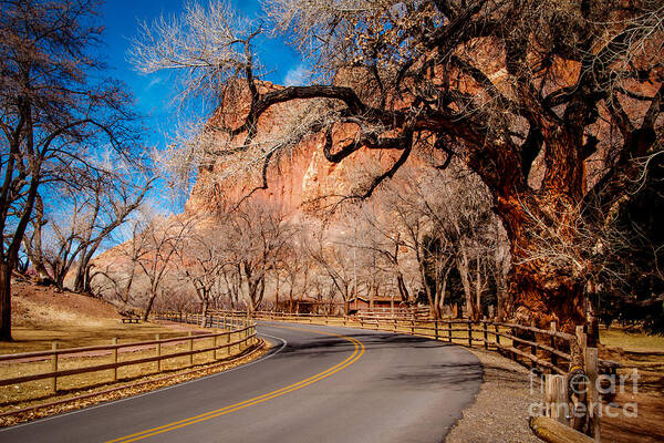 Bob And Nancy Kendrick Art Print featuring the photograph Capitol Reef Scenic Drive by Bob and Nancy Kendrick