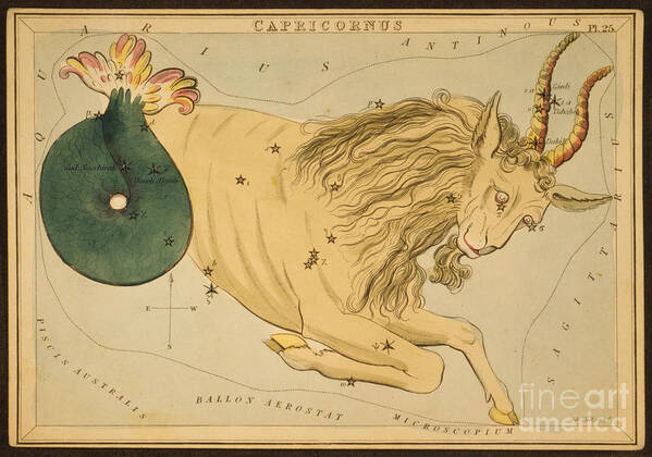 Capricorn Art Print featuring the photograph Capricornus Constellation Zodiac Sign by Science Source