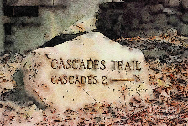 Cascades Art Print featuring the photograph Cascades Trail by Kerri Farley