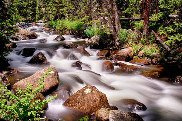 Mountain Stream Art Print featuring the photograph Cascading Rocky Mountain Forest Creek by James BO Insogna